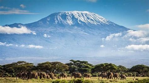kilimanjaro dağı hangi ülkededir